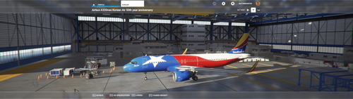 Southwest Airlines Lone Star One