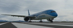 Xiamen Air United Nation Livery B-1356 thumbnail 1