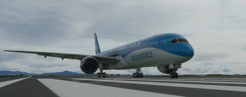 Xiamen Air United Nation Livery B-1356