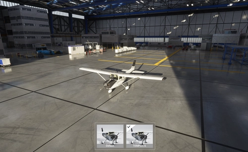 Cessna 172 (G1000) paintkit
