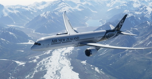 Air New Zealand 787 (Black and White)- NEW METHOD thumbnail 1
