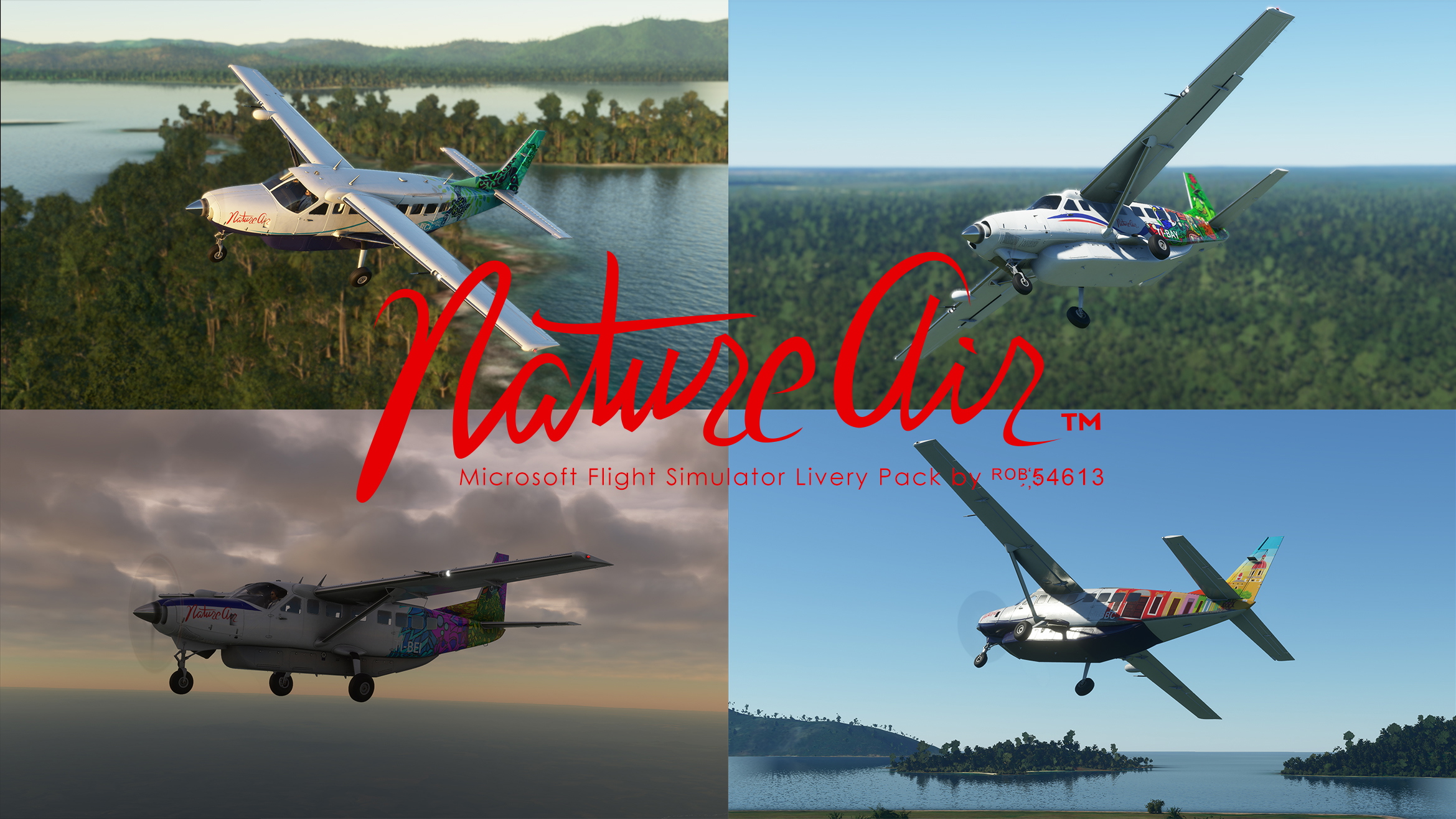 Nature Air Cessna 208b Grand Caravan EX Livery Pack - Image 1