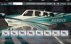 Bonanza alternate color stripes (11 colors) thumbnail 7