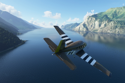 Bonanza G36 - P-51 Tribute "Invasion Stripes" Livery
