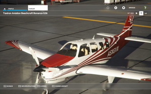 Bonanza alternate color stripes (11 colors) thumbnail 1