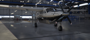 New Zealand Air Milford Caravan 208 thumbnail 4