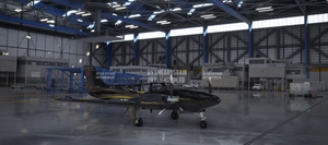 Beechcraft Baron G58 X series (9 colours) thumbnail 10