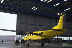 Cessna 208 B Grand Caravan X Series (8 colours)  thumbnail 15