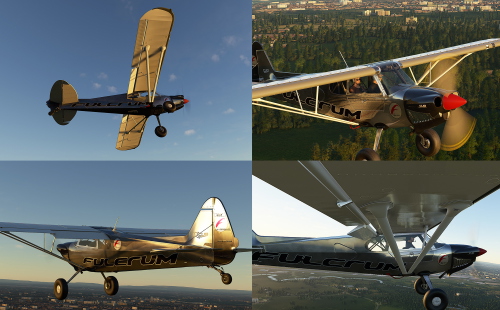 Xcub silver