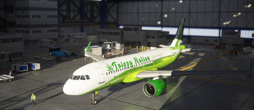 A320- Trippy Nation Livery