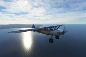 Cub Crafter XCub INTR3P1D thumbnail 5
