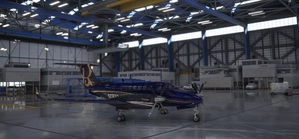 Beechcraft King Air X series (9 colours)  thumbnail 6