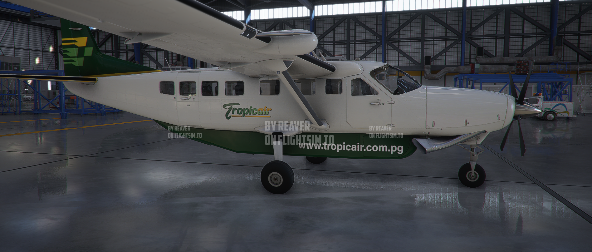 Papua New Guinea (PNG) Tropicair Caravan 208 - Image 1