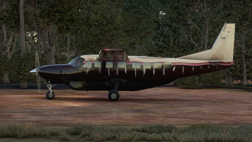 Halloween "Under The Skin" Cessna 208b Grand Caravan EX Livery