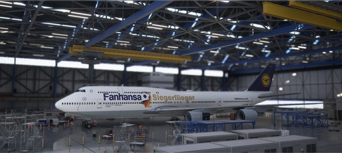 Fanhansa Siegerflieger (Lufthansa World Cup 2014 livery)