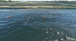 PROJECT COASTLINE TUSCANY + GROSSETO AIRPORT (LIRS) v1.5 thumbnail 20