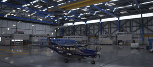 Cessna 208 B Grand Caravan X Series (8 colours)  thumbnail 10
