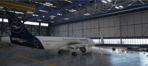 [8k] Fanhansa Mannschaftsflieger (Lufthansa World Cup 2018) thumbnail 3