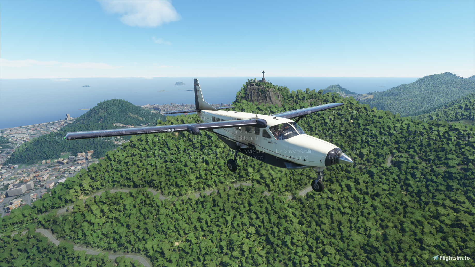 Cessna 208 B Grand Caravan X Series (8 colours)  - Image 1