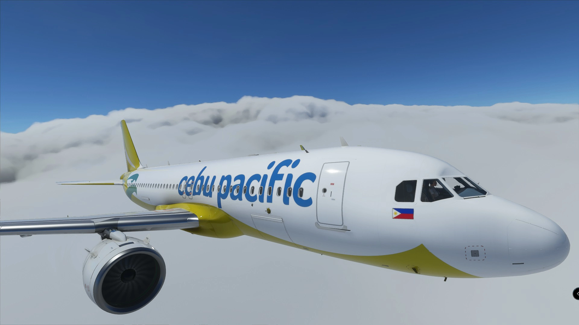 Cebu Pacific 8K - Image 1