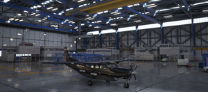 Cessna 208 B Grand Caravan X Series (8 colours)  thumbnail 12