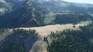 Bush strips in Idaho & Oregon thumbnail 8
