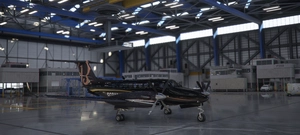 Beechcraft King Air X series (9 colours)  thumbnail 5