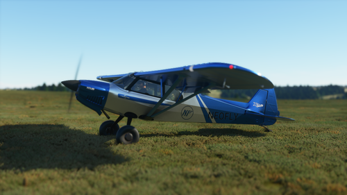 X-Cub Neofly