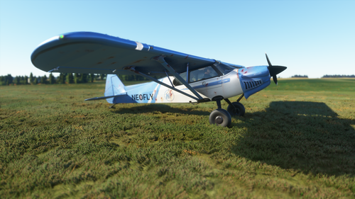 X-Cub Neofly Rusty