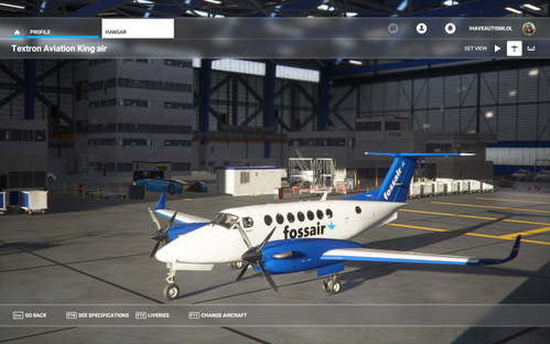 FossAir Beechcraft 350 (Fictional)