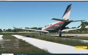 LF2051 CAVALLO CORSE thumbnail 2