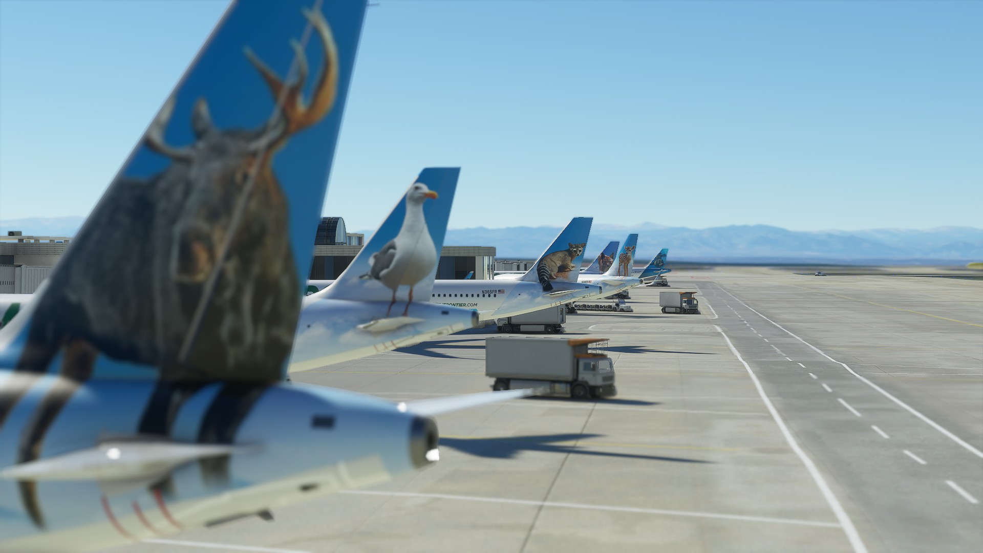 A32NX 46 Unique Frontier Airlines livery pack[8K] - Image 2