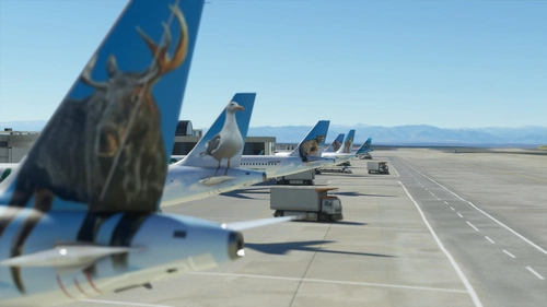 A32NX 46 Unique Frontier Airlines livery pack[8K]