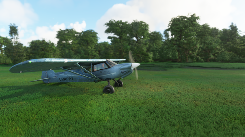 X-Cub Crappy