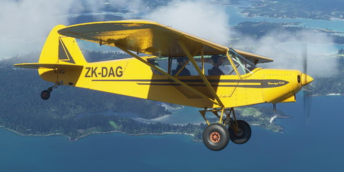 Savage Cub ZK-DAG