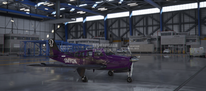 Beechcraft G36 Bonanza X Series (9 colours) thumbnail 14