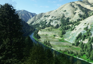 Bush strips in Idaho & Oregon thumbnail 2