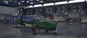Beechcraft G36 Bonanza X Series (9 colours) thumbnail 12