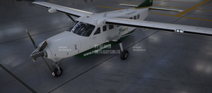 Papua New Guinea (PNG) Tropicair Caravan 208 thumbnail 2