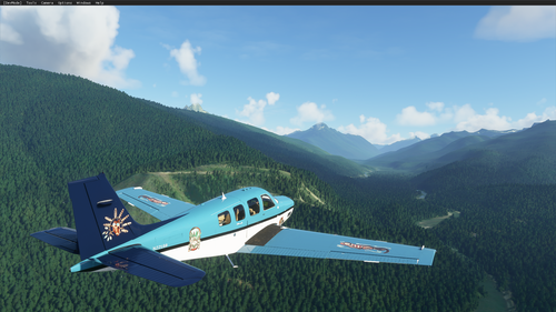 Bonanza G36 N22168 BW Sekiu