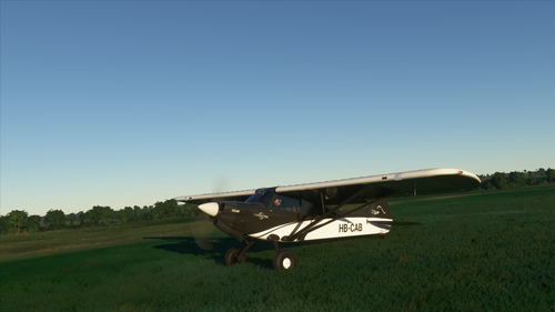 X-Cub CarbonCub