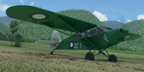 Savage Cub RAAF QE-I "Bull Shit Bomber"