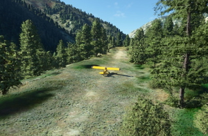 Bush strips in Idaho & Oregon thumbnail 5