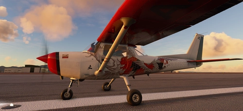 C152 Big Fish Skin