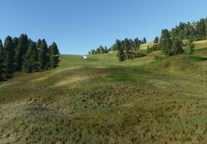 Bush strips in Idaho & Oregon thumbnail 3