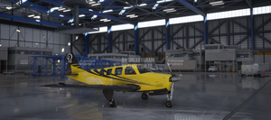 Beechcraft G36 Bonanza X Series (9 colours) thumbnail 18