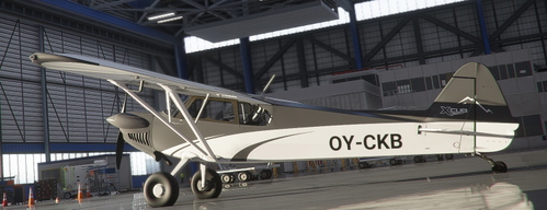 Xcub BlackWhite