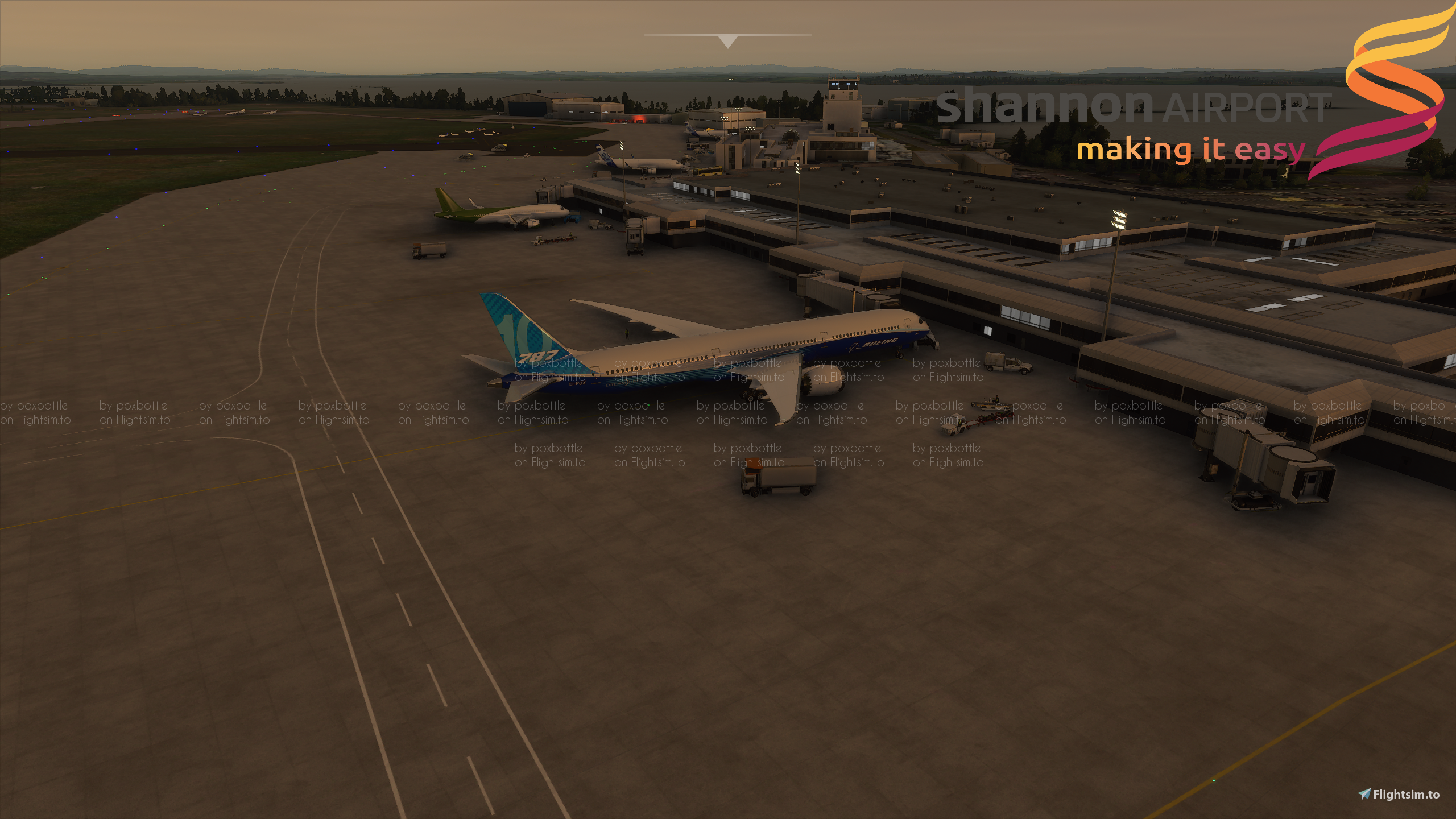Shannon Airport (EINN) - Image 1