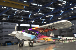 Cub Crafter XCub INTR3P1D thumbnail 1