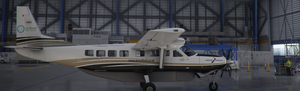 New Zealand Air Milford Caravan 208 thumbnail 1